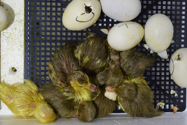 Similar image 8969200