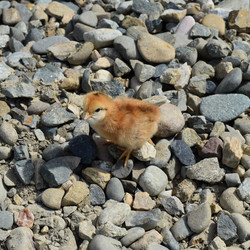 Similar image 8969308