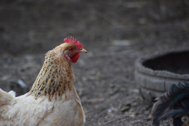 Similar image 8969315