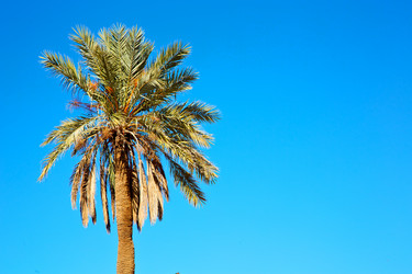 Similar image 8970983