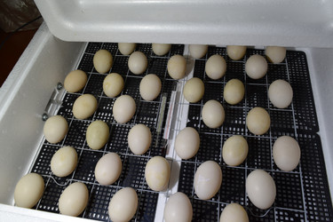 Similar image 8971028