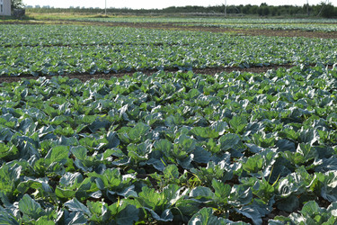 Similar image 8971059