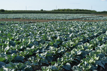 Similar image 8971066