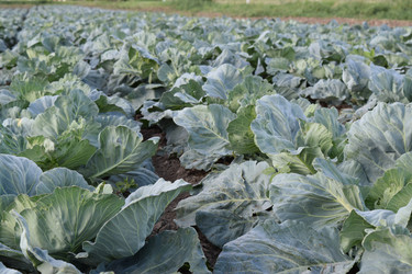 Similar image 8971071