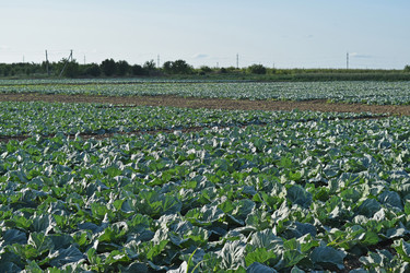 Similar image 8971138