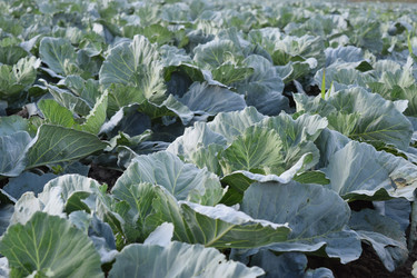 Similar image 8971141