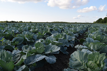 Similar image 8971145