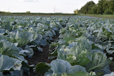 Similar image 8971152