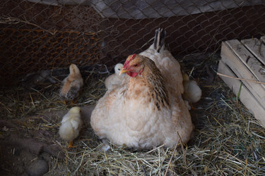 Similar image 8971161