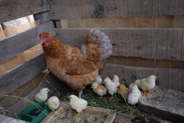 Similar image 8971165