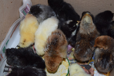 Similar image 8971167