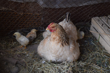 Similar image 8971170