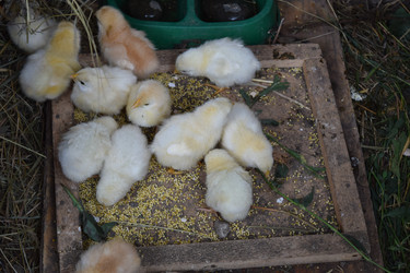 Similar image 8971172