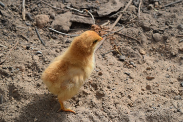 Similar image 8971174