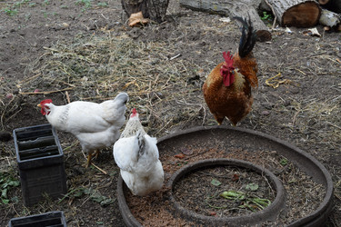 Similar image 8971176