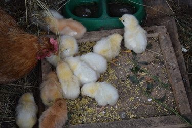 Similar image 8971265