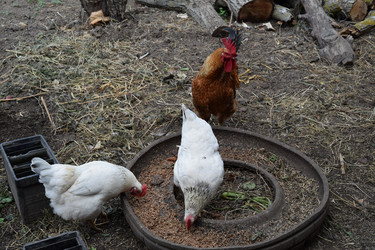 Similar image 8971270