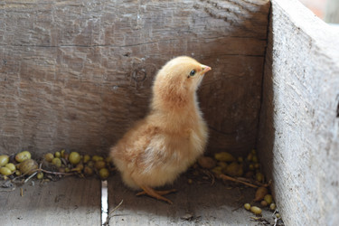 Similar image 8971272