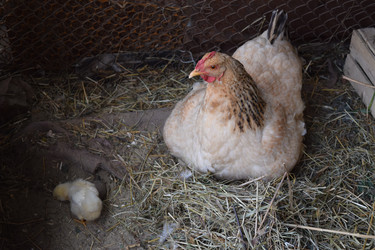 Similar image 8971277