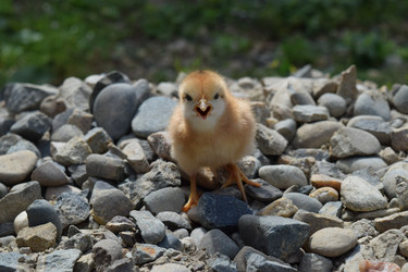 Similar image 8971282