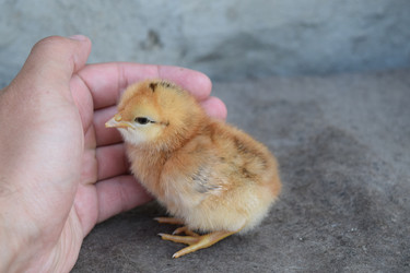 Similar image 8971287