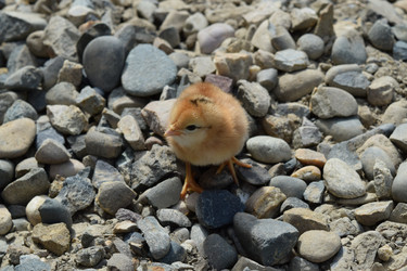 Similar image 8971289