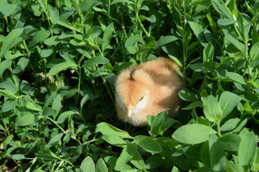 Similar image 8971299