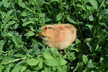 Similar image 8971302