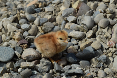 Similar image 8971305