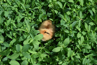 Similar image 8971360