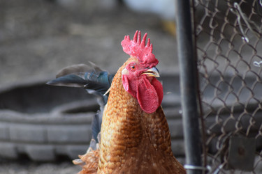 Similar image 8971362