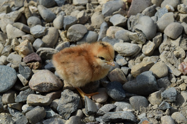 Similar image 8971367