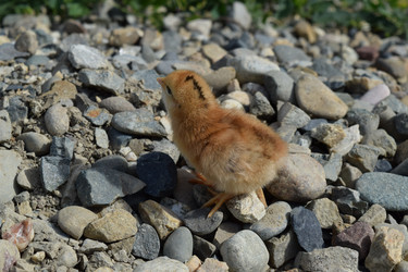 Similar image 8971369