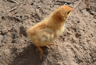 Similar image 8971379