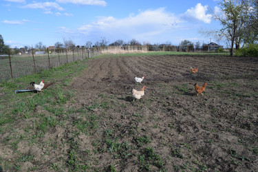 Similar image 8971383