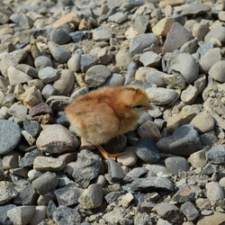 Similar image 8971385