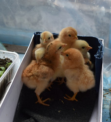 Similar image 8971390