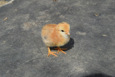 Similar image 8971393