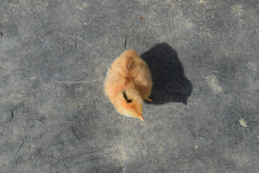 Similar image 8971398