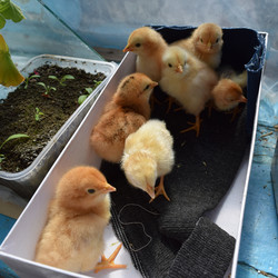 Similar image 8971400