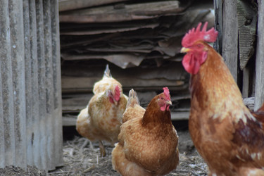 Similar image 8971403