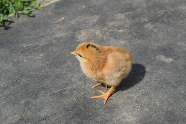 Similar image 8971510