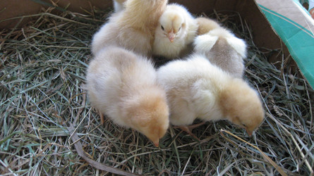 Similar image 8971514