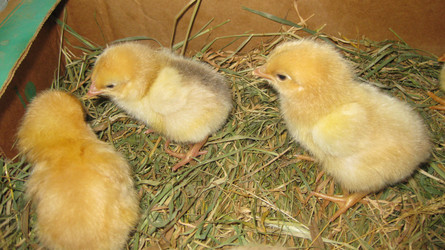 Similar image 8971517