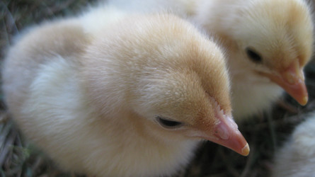 Similar image 8971519