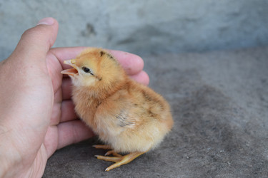 Similar image 8971530