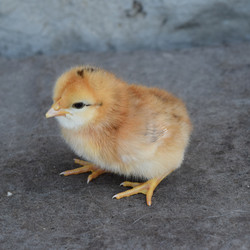 Similar image 8971531