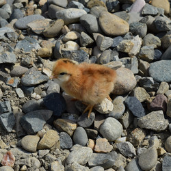 Similar image 8971535