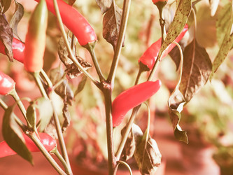 Similar image 8973097