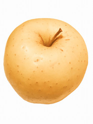 Similar image 8974267